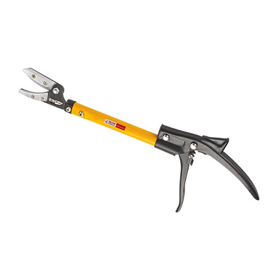 FPLR-22